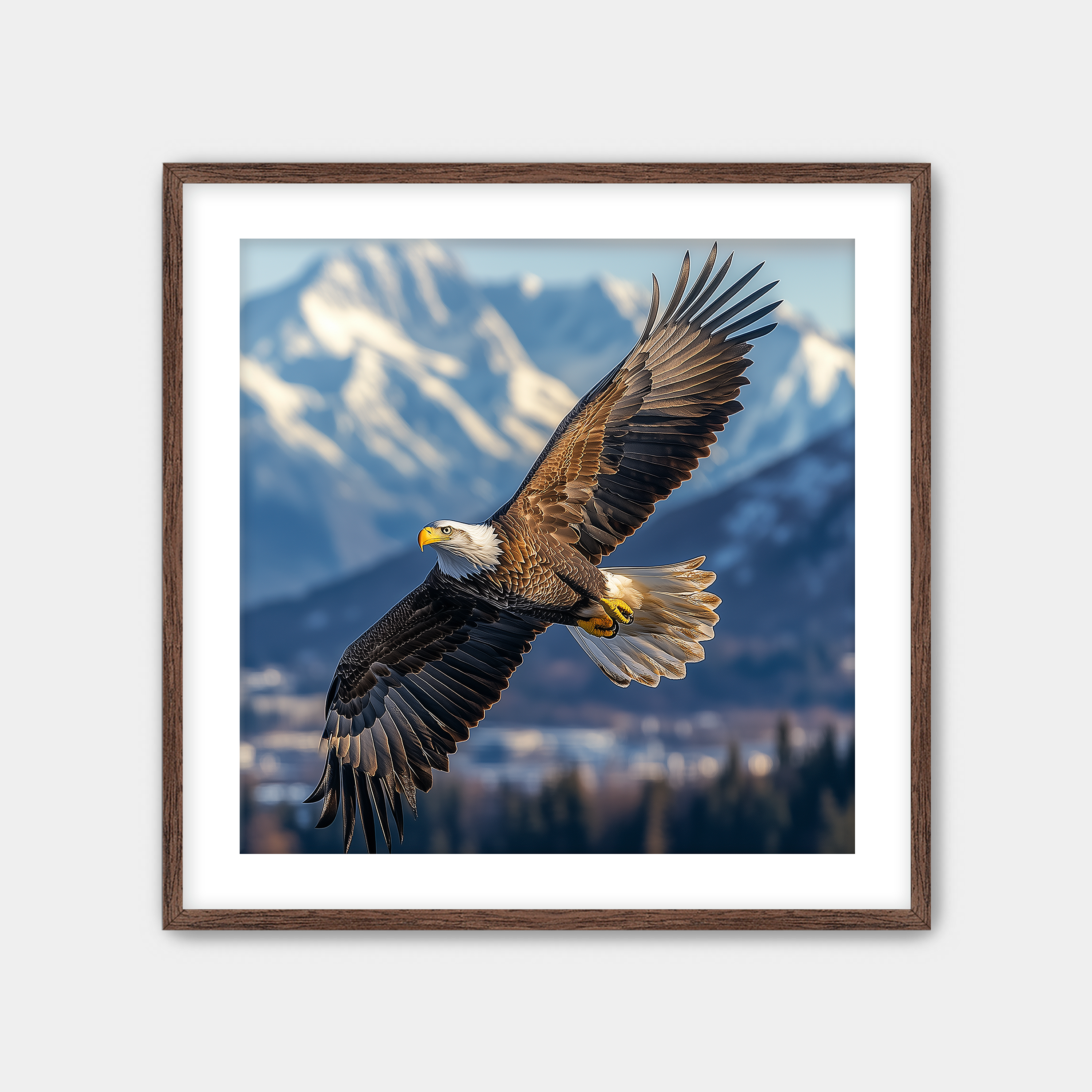 Alaskan Eagle