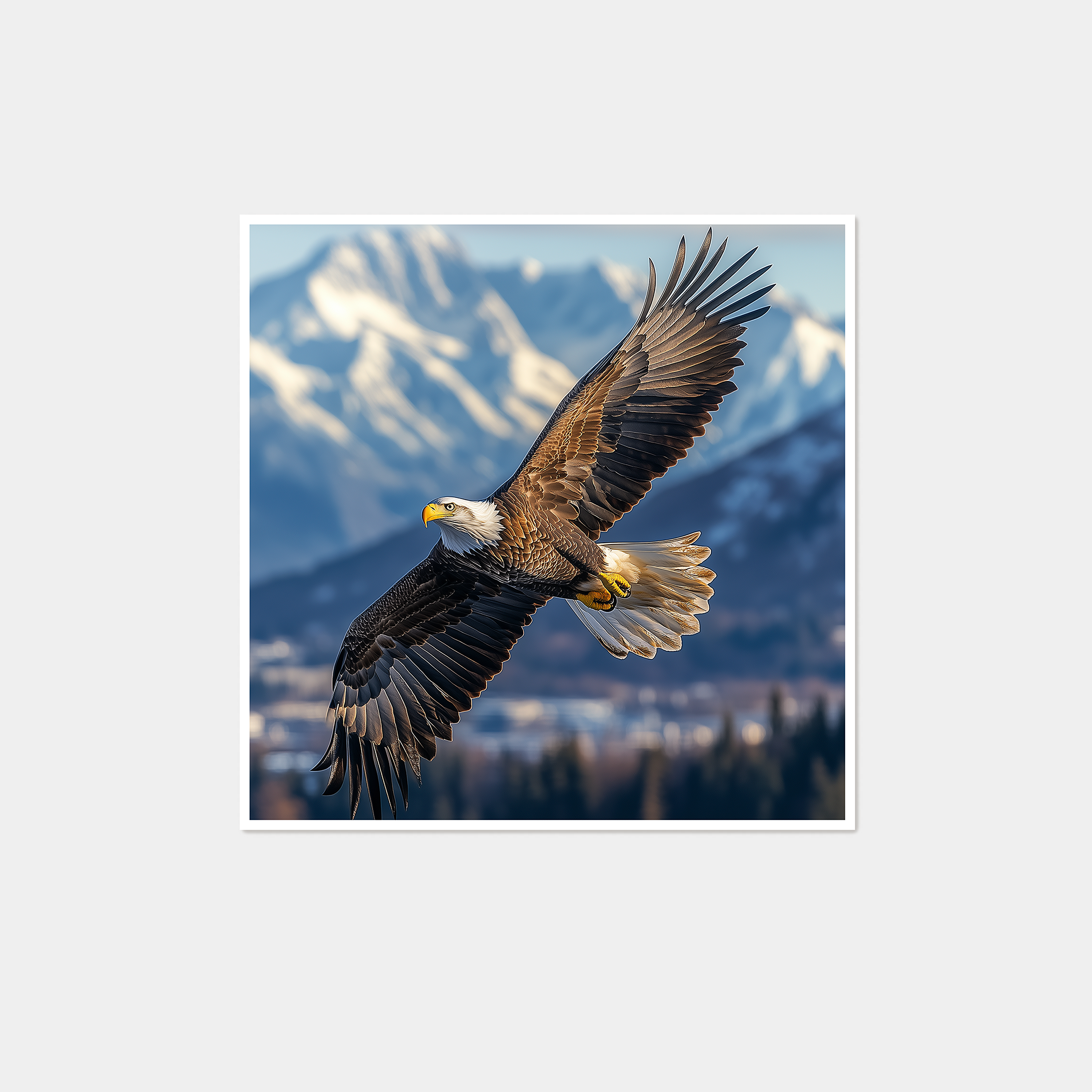 Alaskan Eagle