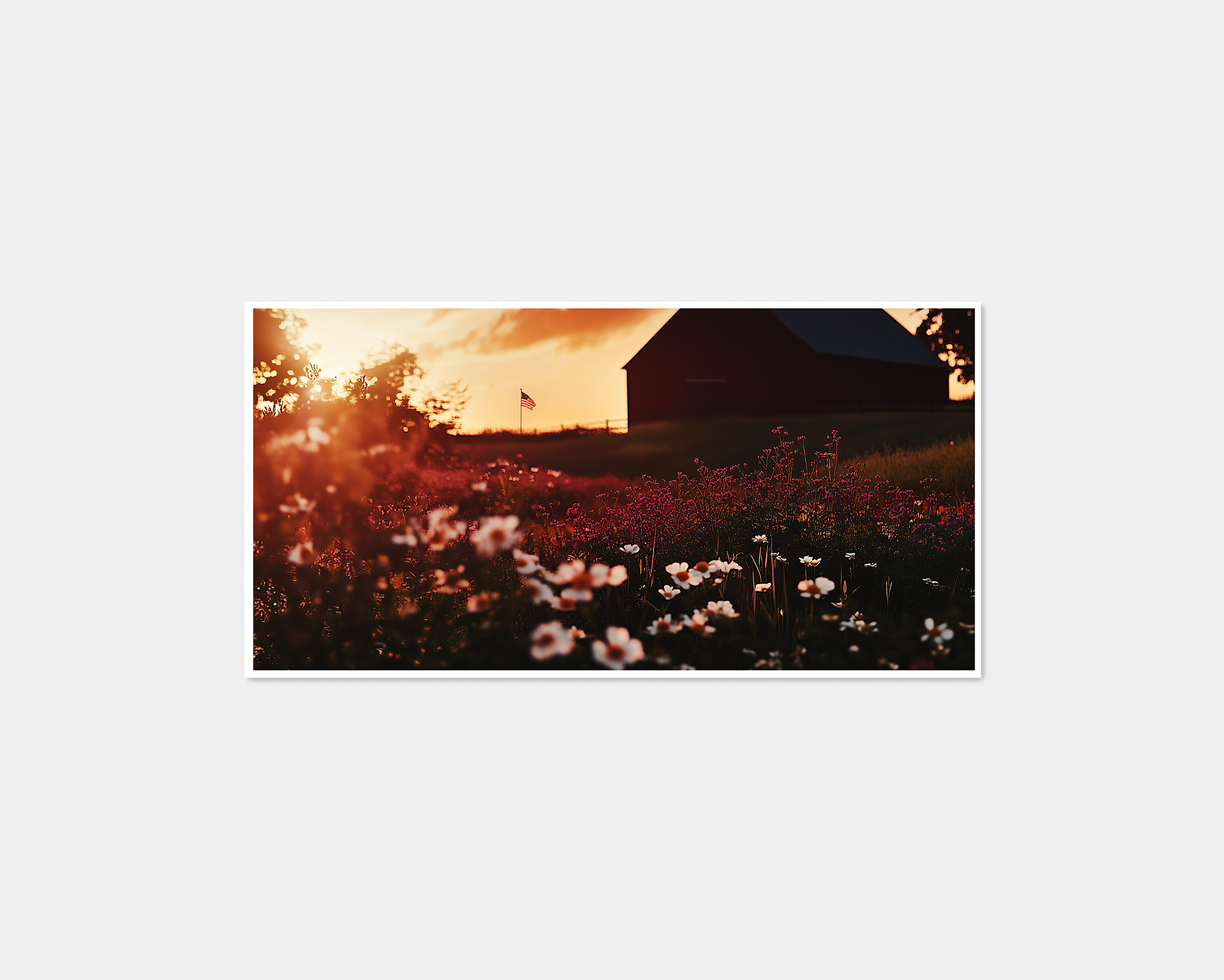 Freedom Fields