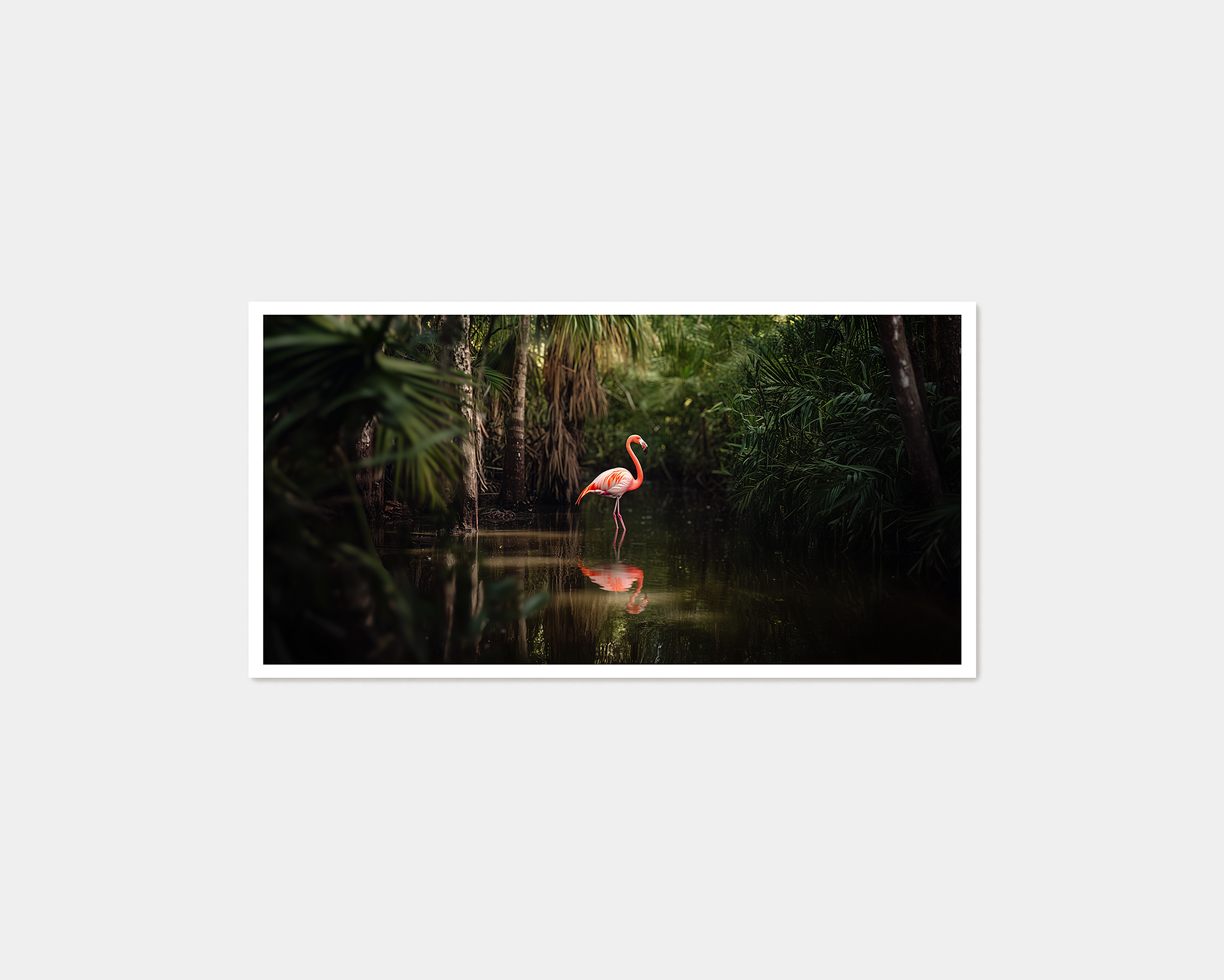 Flamingo