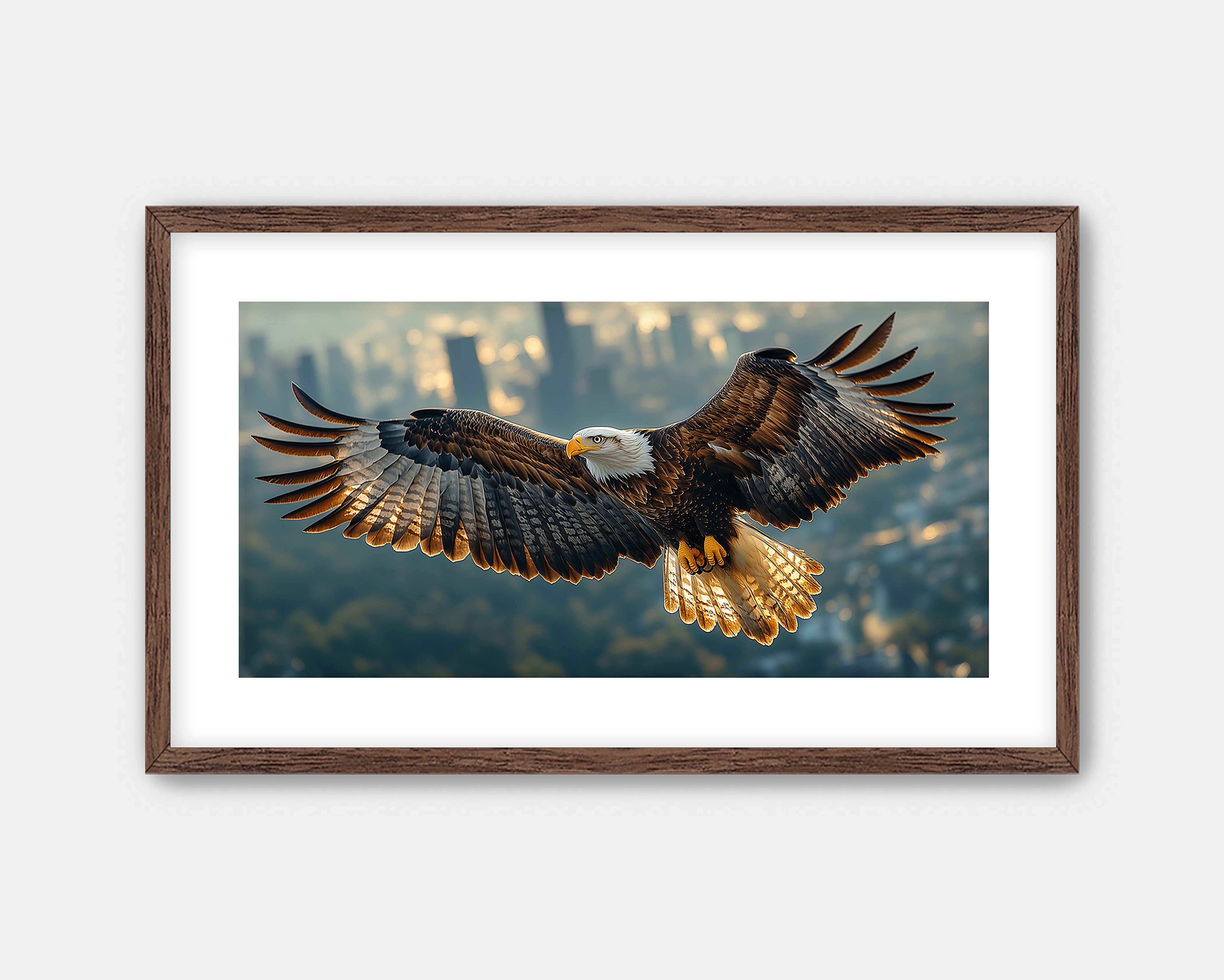 Soaring Above