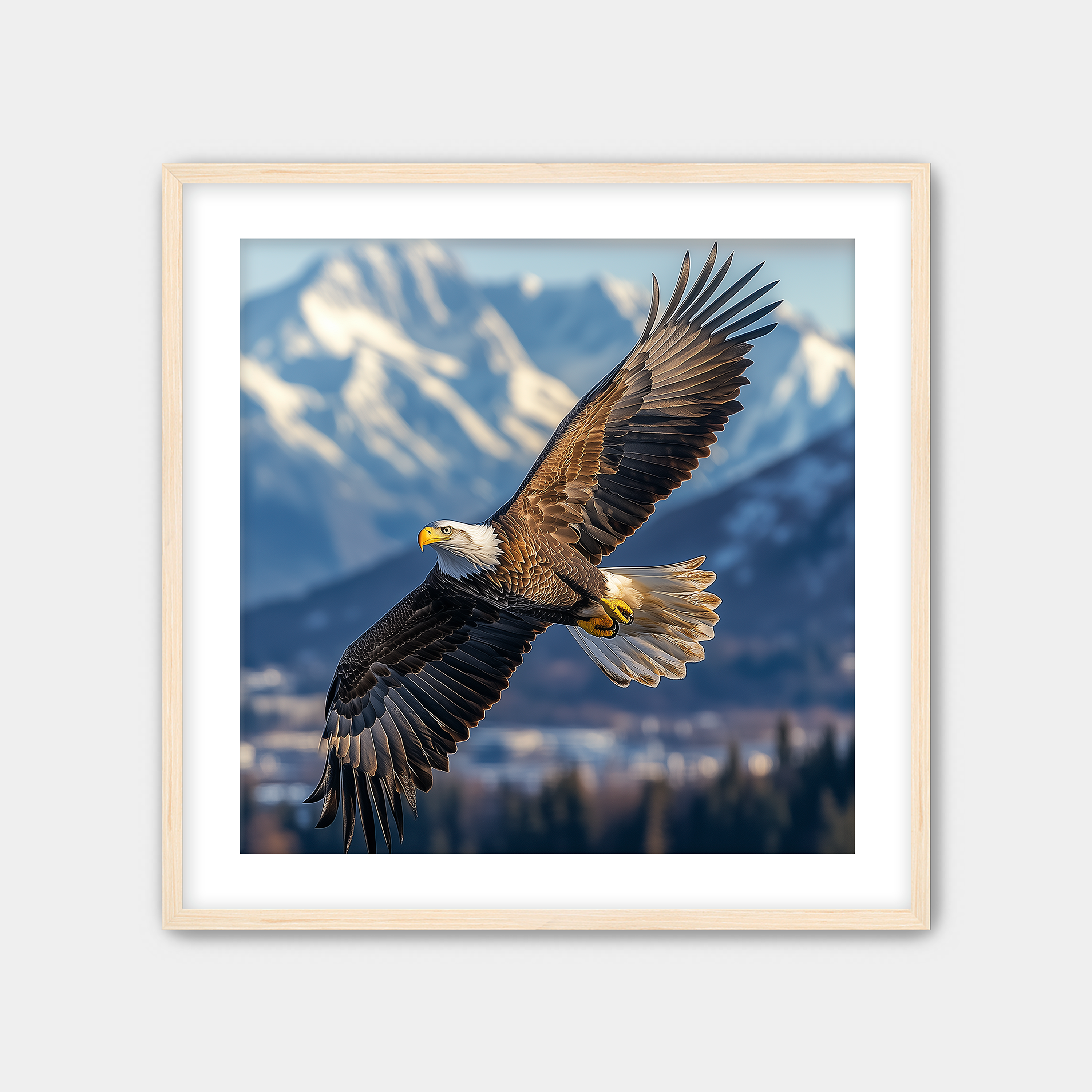 Alaskan Eagle